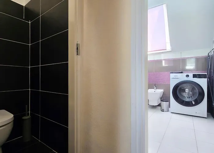 Summer Vibe شيوفوك